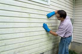 Affordable Siding Repair and Maintenance Services in Camden, SC